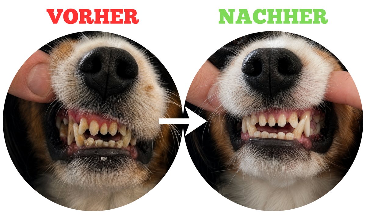 Vorher / Nachher: Zähne mit Zahnstein und saubere Zähne