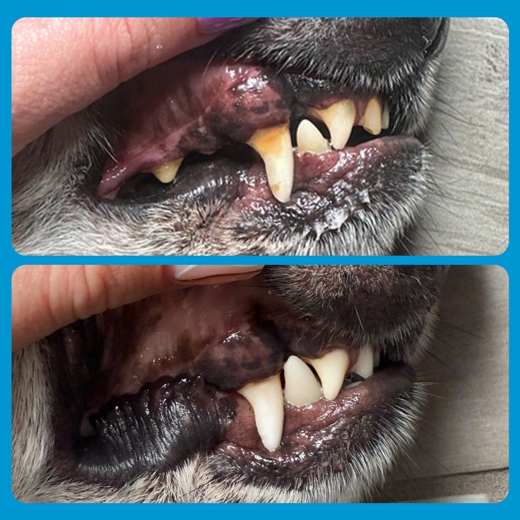 Vorher/Nachher 2