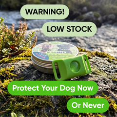 BushSafe tick pendant and tin on a rock – low stock, protect your dog now