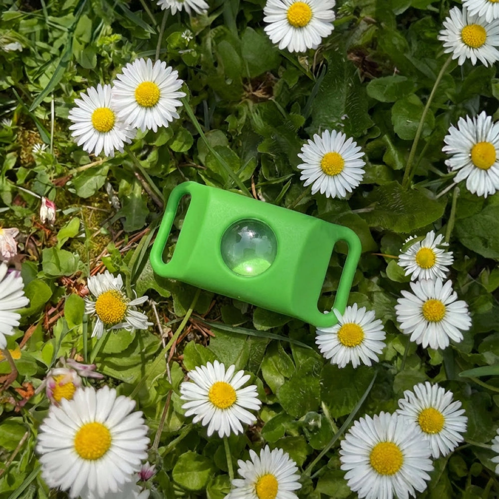 Green tick pendant lying in the grass between daisies