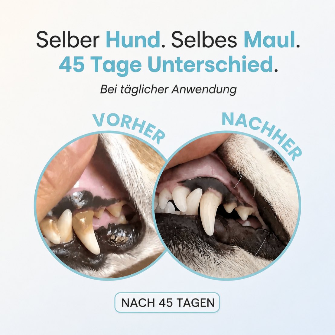 Vorher Nachher nach 45 Tagen