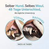 Vorher Nachher nach 45 Tagen