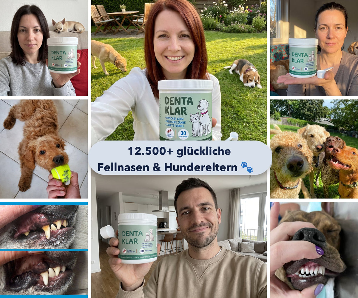 12.500+ glückliche Hundeeltern