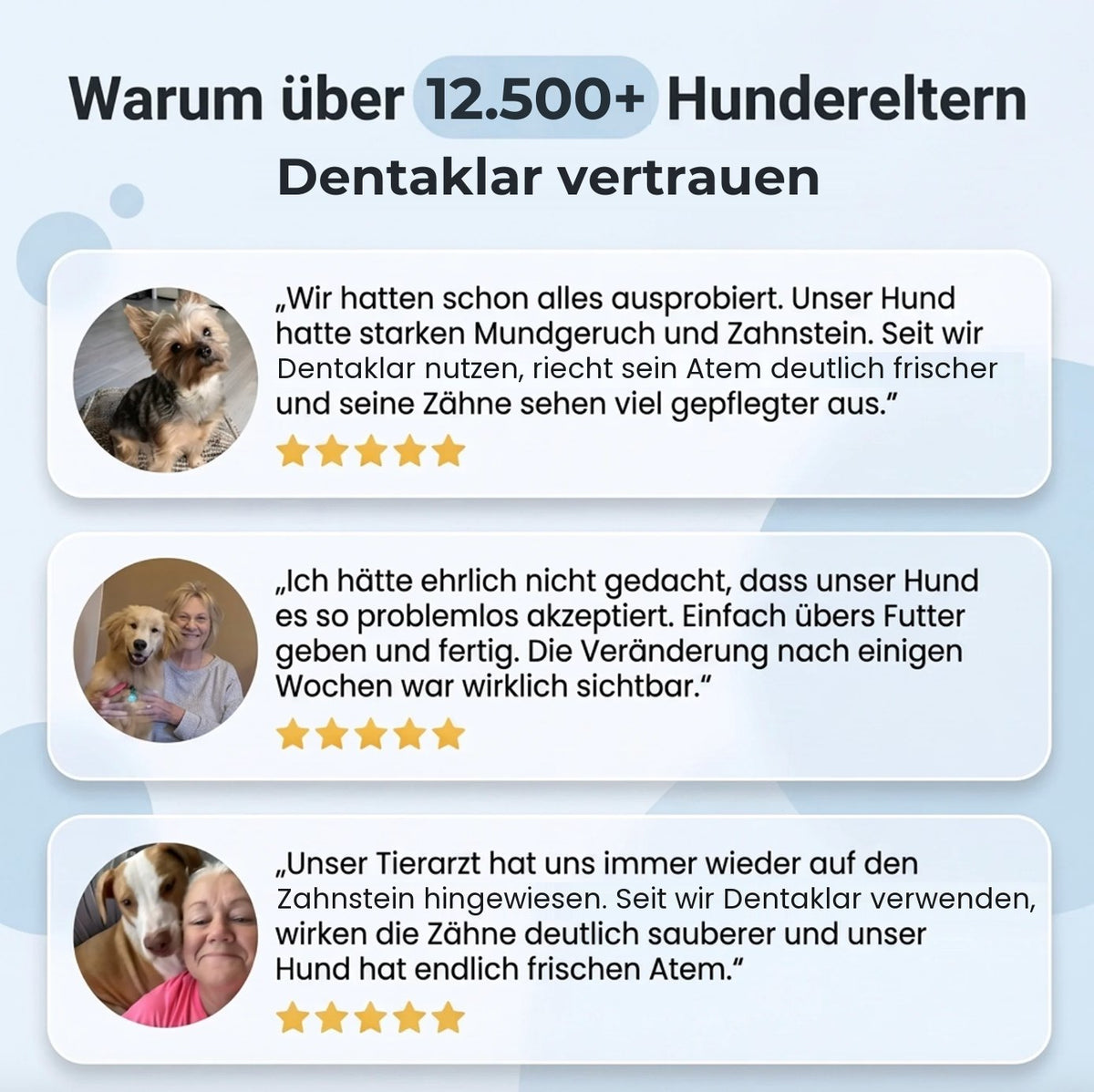Warum Hundeeltern Dentaklar vertrauen