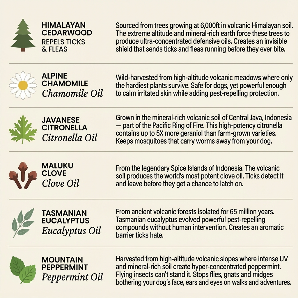6 botanical oils: cedarwood, chamomile, citronella, clove, eucalyptus, peppermint