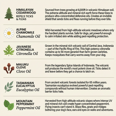 6 botanical oils: cedarwood, chamomile, citronella, clove, eucalyptus, peppermint
