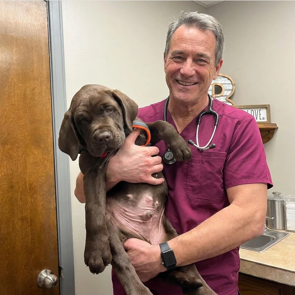 Dr. vet. Brandt