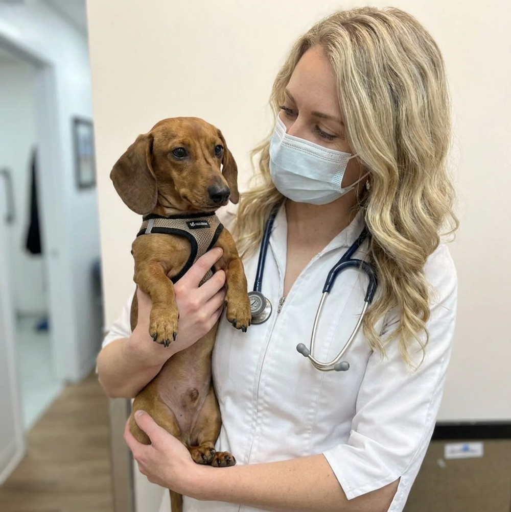 Dr. vet. Lehner